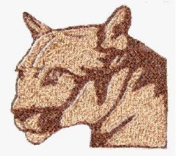 Cougar Embroidered Flute Bag